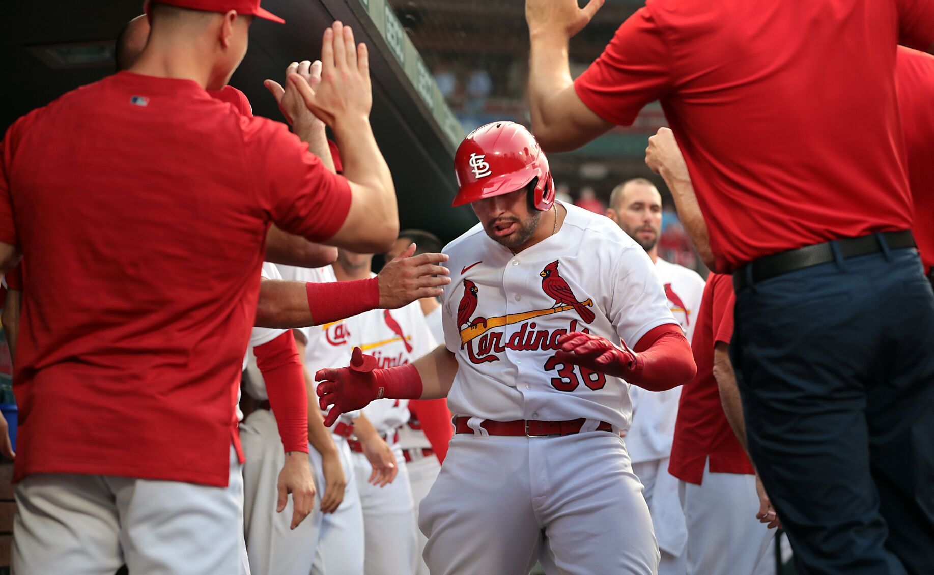 Cardinals, Orioles at Busch